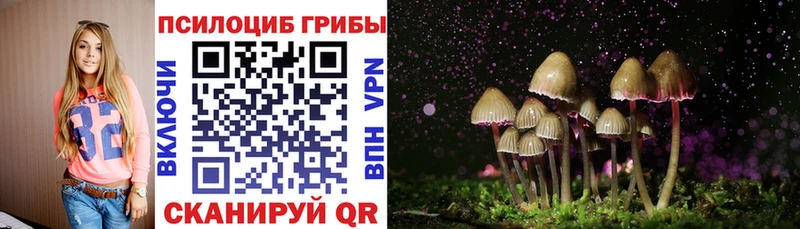 блэк спрут зеркало  Краснозаводск  Псилоцибиновые грибы Cubensis 